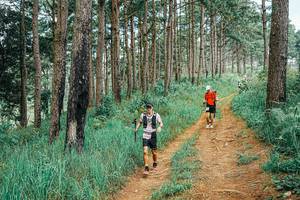 BIB: 
                            <button type="button" onclick="openModal(25661313)" class="btn btn-primary btn-sm float-right btn-popup" data-toggle="modal" data-target=".modal-high-quality">
                        <i class="fas fa-shopping-cart"></i> Add to Cart
                    </button>
                                            <button type="button" onclick="isThisMe(25661313, true)" class="btn btn-success btn-sm float-right btn-popup btn-isme hidden" data-toggle="tooltip" data-placement="bottom" title="นี่คือรูปของคุณใช่ไหม คลิกที่นี่เพื่อเอาเข้าอัลบั้ม">
                        <i class="fas fa-plus"></i> Add to album
                    </button>
                    <button type="button" onclick="isThisMe(25661313, false)" class="btn btn-warning btn-sm float-right btn-popup btn-isnotme hidden">
                        <i class="fas fa-ban"></i> Remove from album
                    </button>